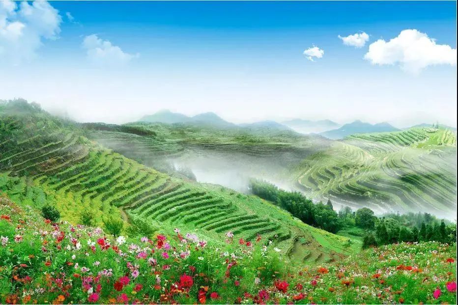 景点图片