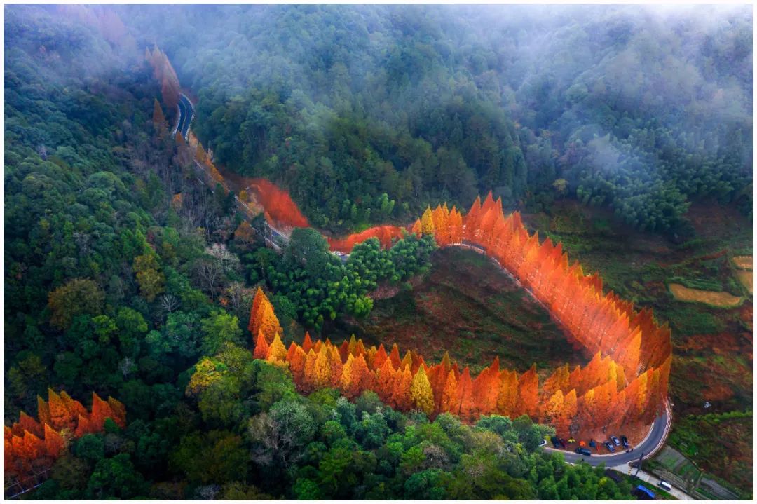景点图片