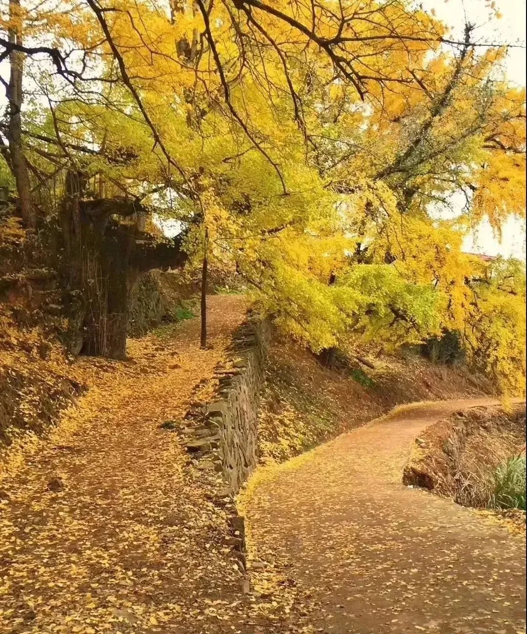 景点图片